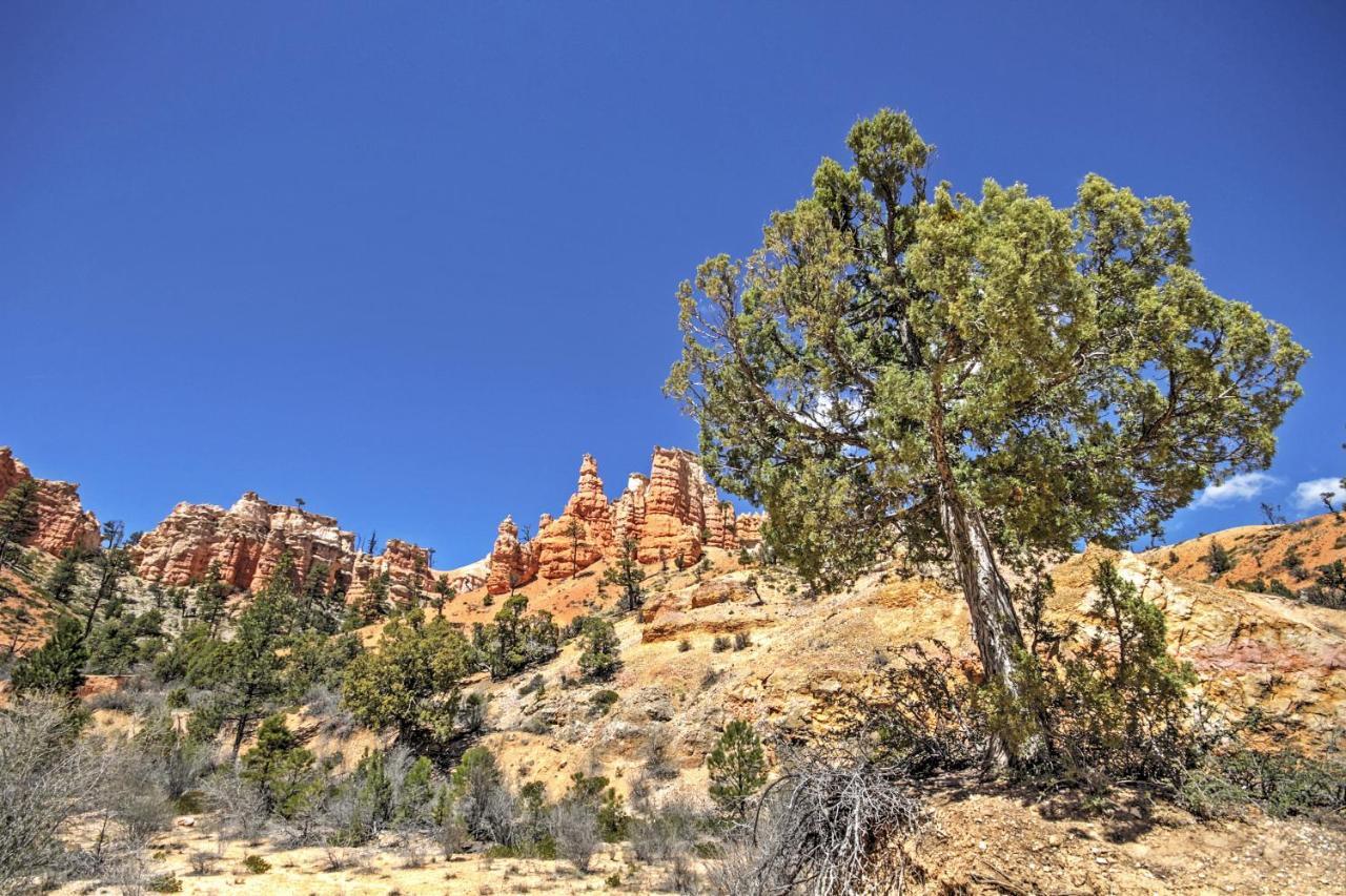 Bryce Canyon Area House With Mountain Views! トロピック エクステリア 写真